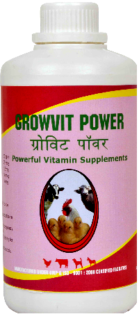 Manufacturers Exporters and Wholesale Suppliers of Vitamin AD3 With Multi Vitamins For Poultry Bangalore Karnataka
